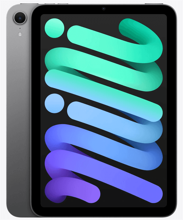 iPad Mini 8,3" 256 GB Wi-Fi Space Gray